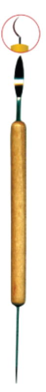 img.jpg