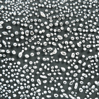 cr-12_speckledwhite_1280pxx1280px_website_69996.jpg