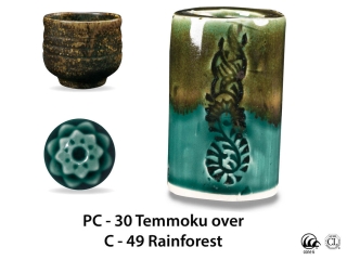large_pc-30_over_c-49_rainforest_web_6e124d80.jpg