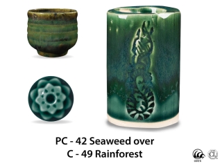 large_pc-42_over_c-49_rainforest_web_84a08c6e.jpg