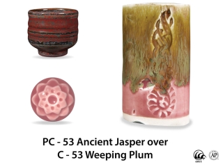 large_pc-53_over_c-53_weeping_plum_web_5b6bf97e.jpg