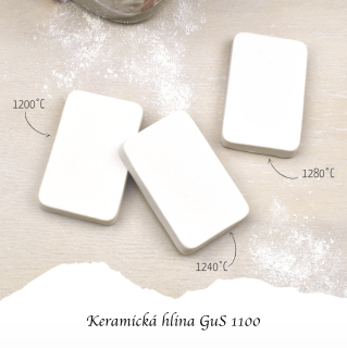 snimka_obrazovky_2024-04-24_o_17.41.26.png